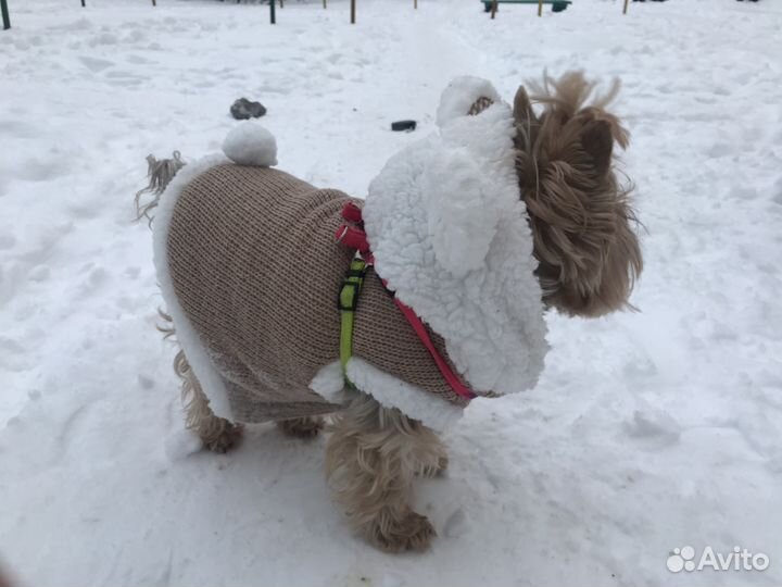 Куртка для собаки зимняя