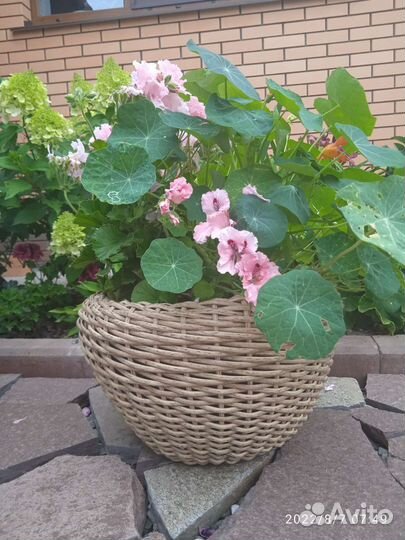 Кашпо горшок для цветов