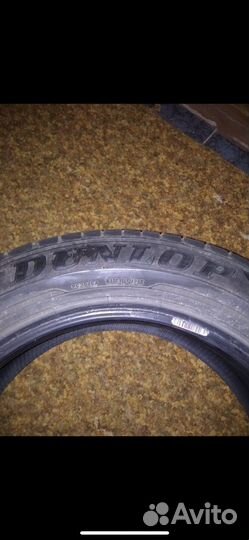 Dunlop SP Winter Maxx WM01 175/65 R15
