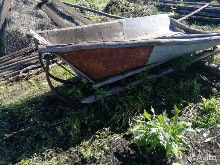 Лошадиные сани