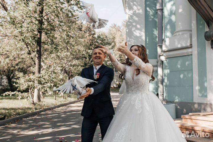 Свадебный, семейный фотограф