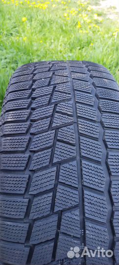 Maxxis SP02 Arctic Trekker 205/50 R17 93T