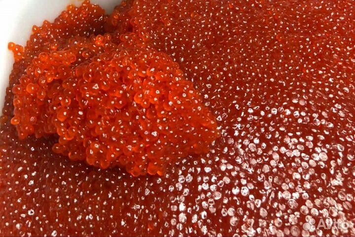 Икра горбуши 2023 г