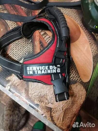 Шлейка для собак