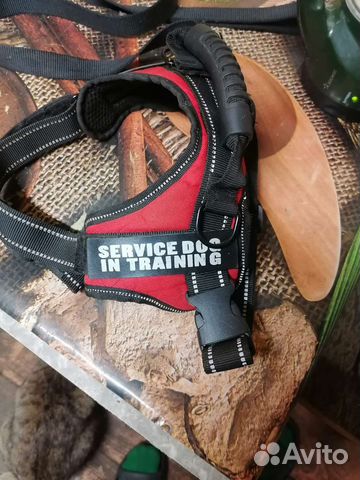 Шлейка для собак