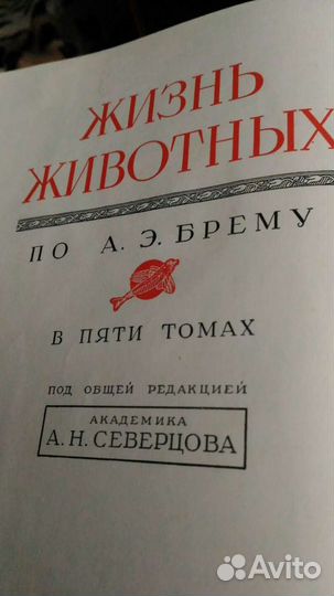 Брэм А.Э Жизнь животных 2,3 тома