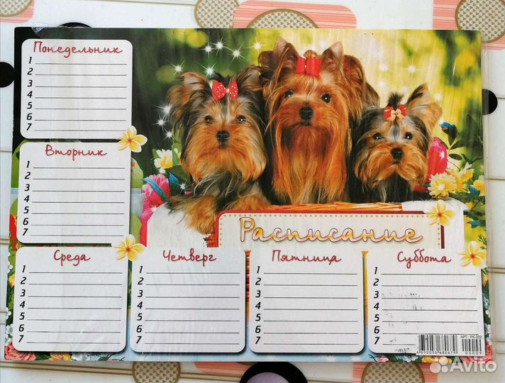 Расписание уроков