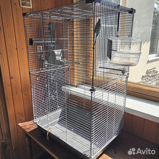 Волнистый попугай с клеткой