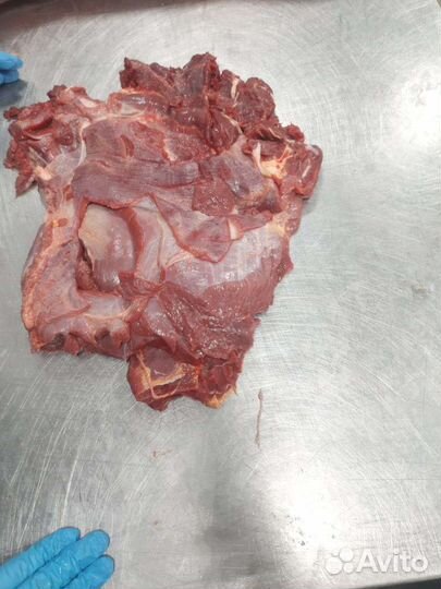 Мясо для кошек и собак