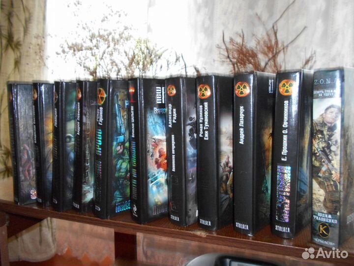 Сталкер, Зона,Москва 2016