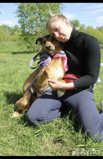 Отдам в добрые руки