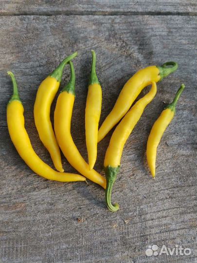 Семена Золотого (Жёлтого) Кайенского переца