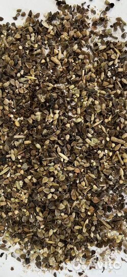 Продам гречневые отходы