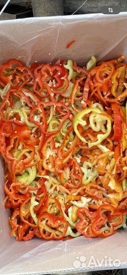 Перец Болгарский