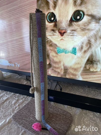 Когтеточка