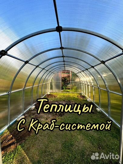 Теплица 3 на 8 м