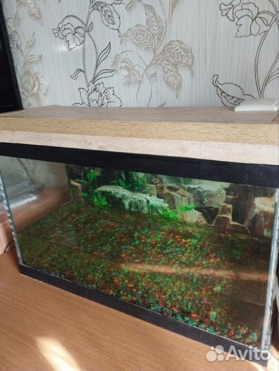 Аквариум