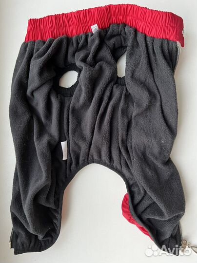 Одежда для собак мелких пород