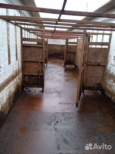 Скотовоз 2-х этажный. Перевозка скота