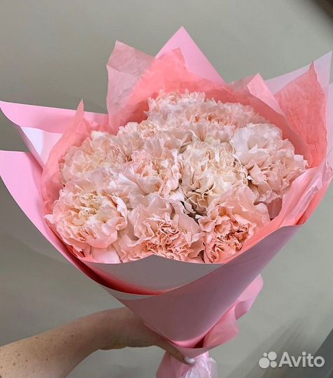 Диантусы букет. Доставка цветов