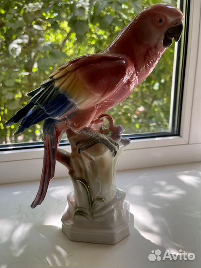 Птица попугай фигурка фарфоровая германия