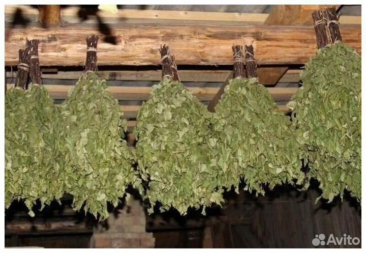 Веники для бани берёзовый