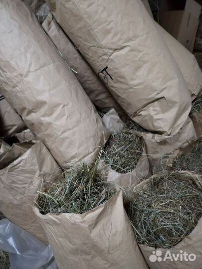 Сено в квадратных тюках