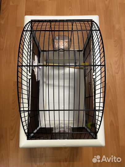 Клетка для птиц ferplast palladio 4