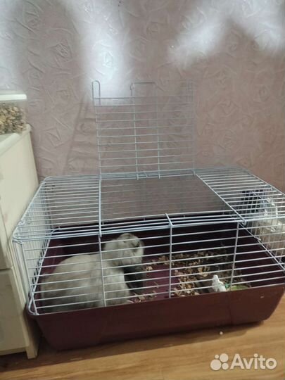 Клетка для зайца