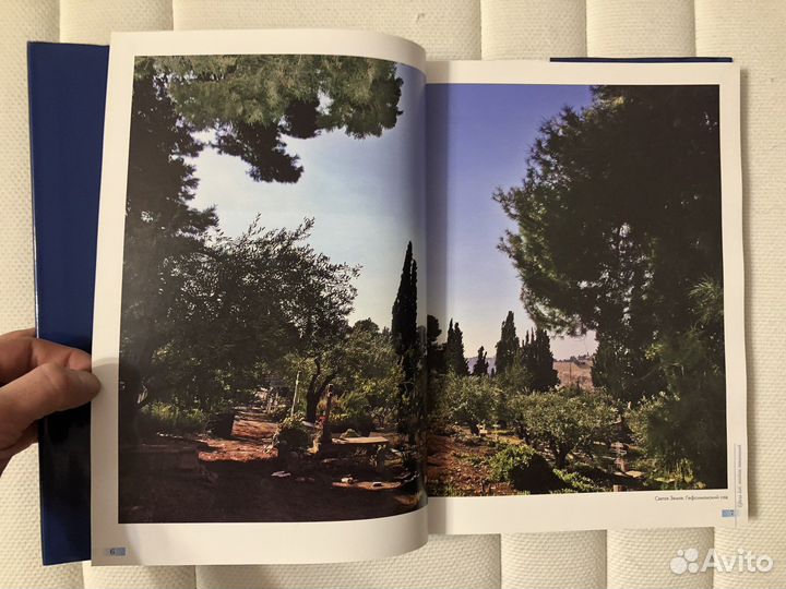 Книга Цвела как ландыш потаенный