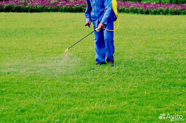 Рулонный газон Стандарт Премиум