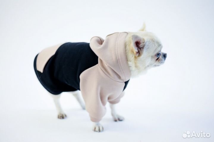 Худи, свитшоты для маленьких собак