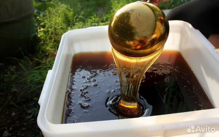 Мед падевый