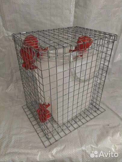 Автопоилка для кур (напольная)