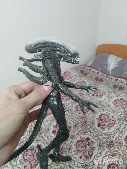 Ксеноморф (Чужой, Alien)