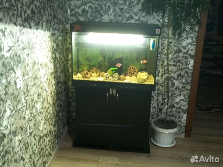 Аквариум