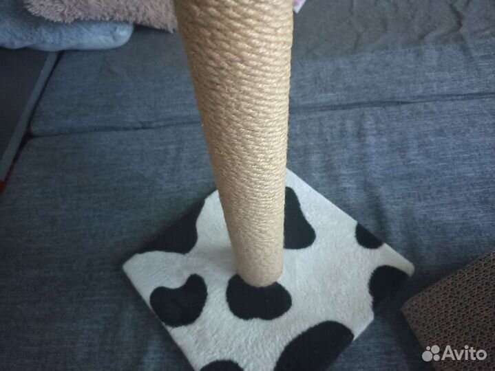 Когтеточка для кошек