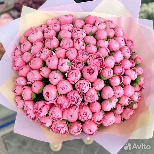 Пионы Цветы Доставка