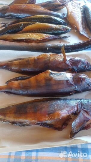 Рыба горячего копчения