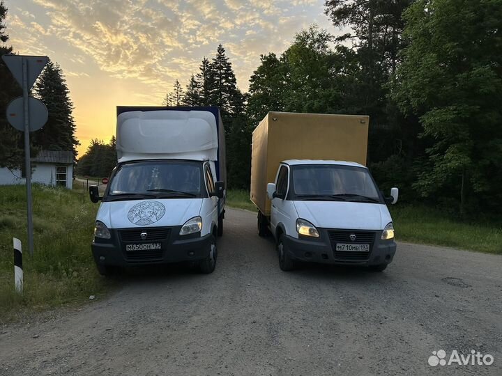 Водитель на газель