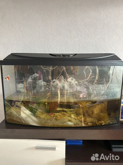 Террариум 150 л