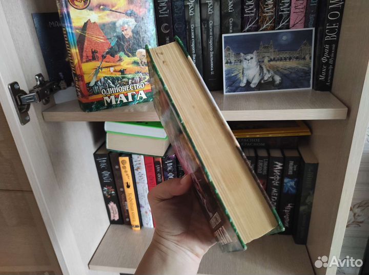 Одиночество мага Ник Перумов