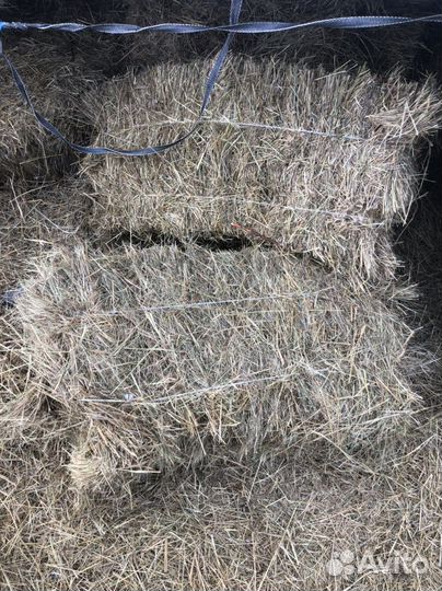 Сено луговое в тюках
