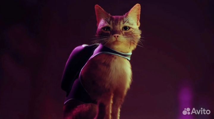 Stray ps 4/5 игра