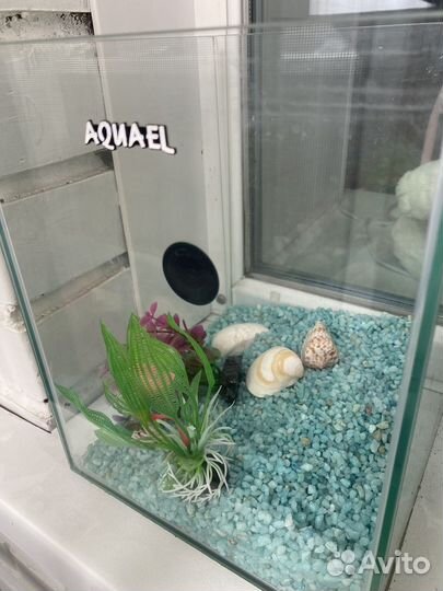 Аквариум