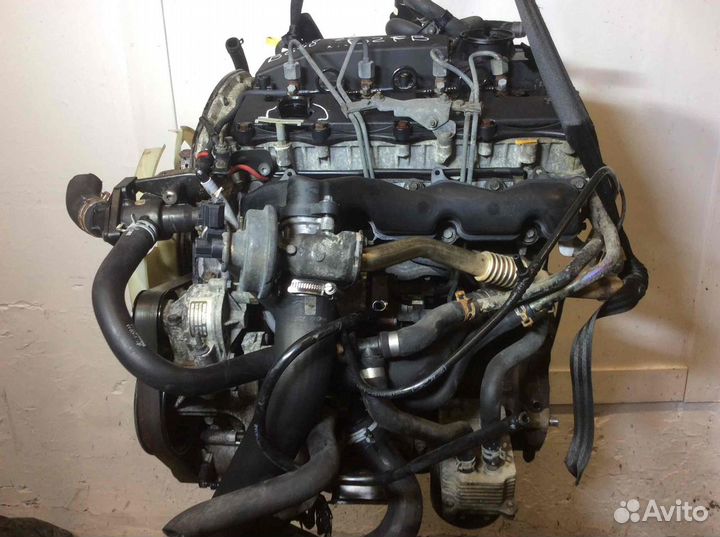 Двигатель Ford Transit 2005 D2fb 2.4 дизель