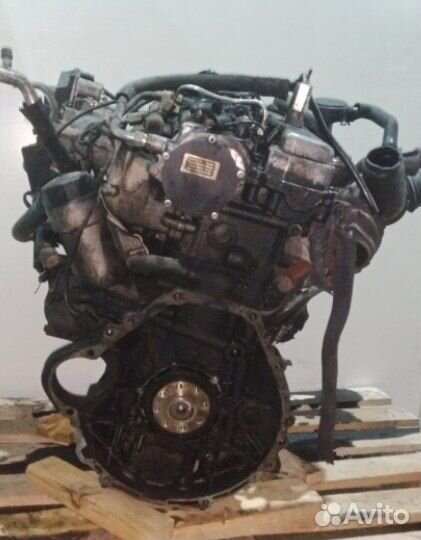 Контрактный двигатель SsangYong D20DT 664951 E4