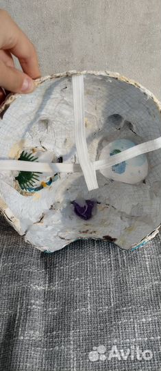 Фурсьют рептилии, дракона