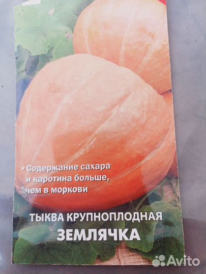 Тыква и кабачки