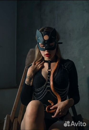 Аренда змеи